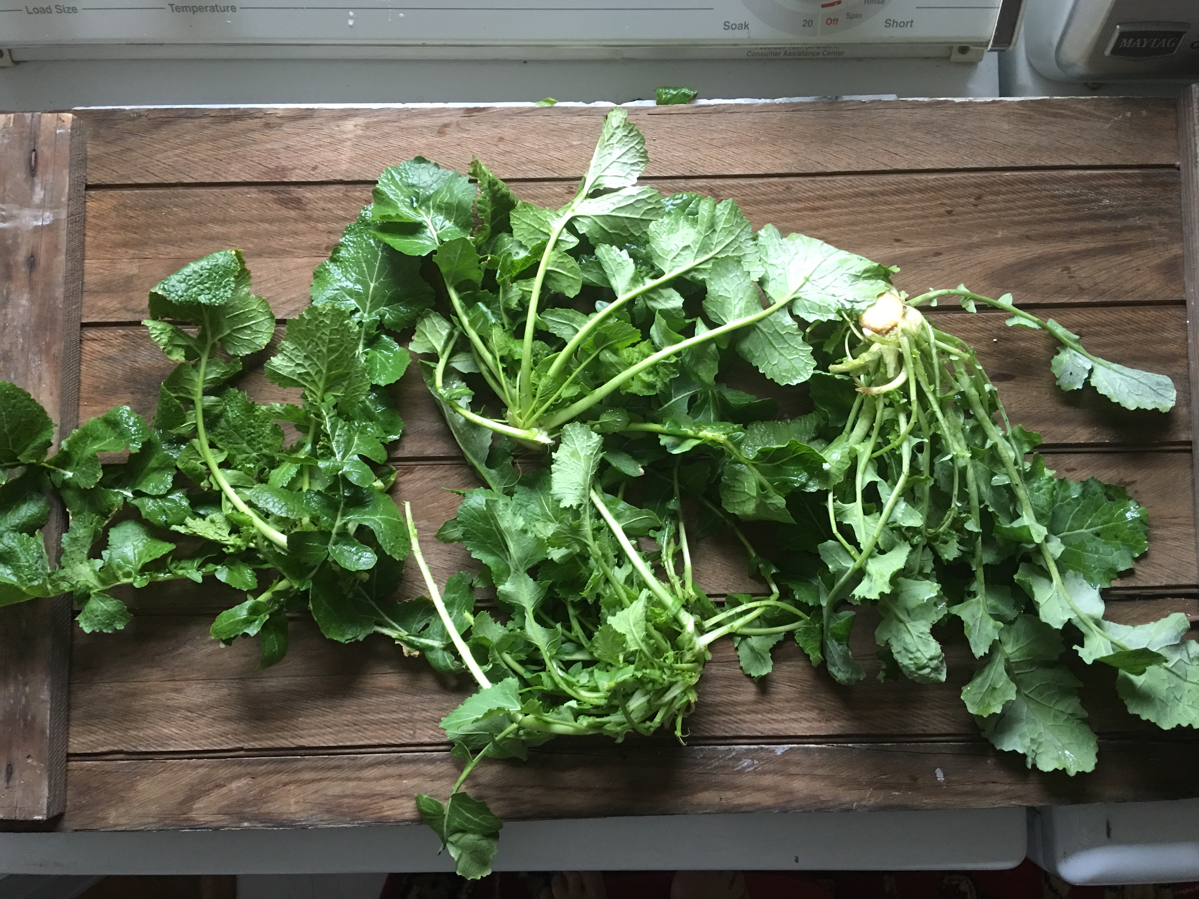 Baby Turnip Greens At The Farmers Market Edible Nashville