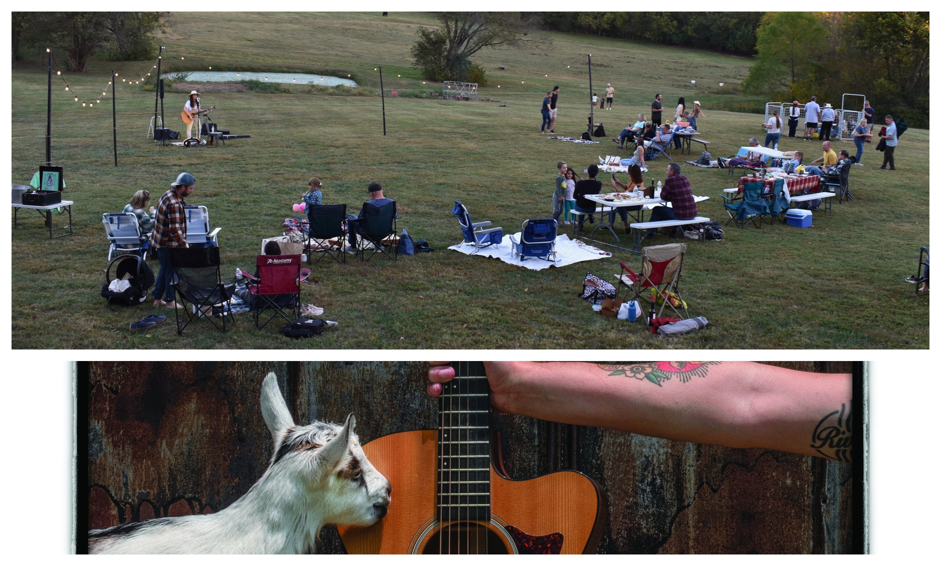 The Goats and Guitars event