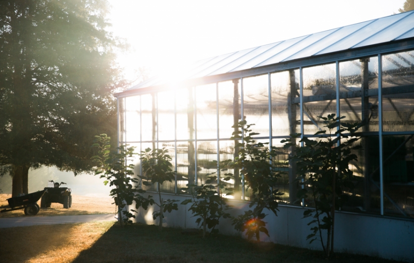 Bloomsbury Farm Greenhouse