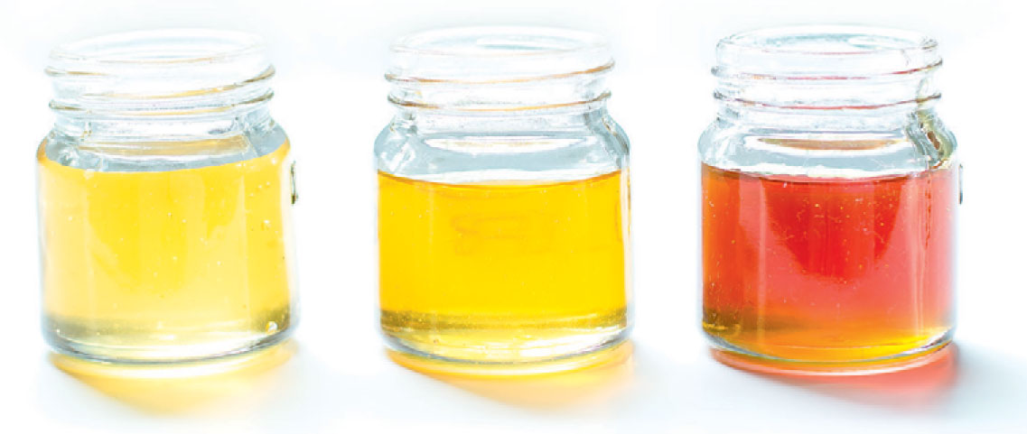 Picture of Why Buy Local Honey - Edible Nashville