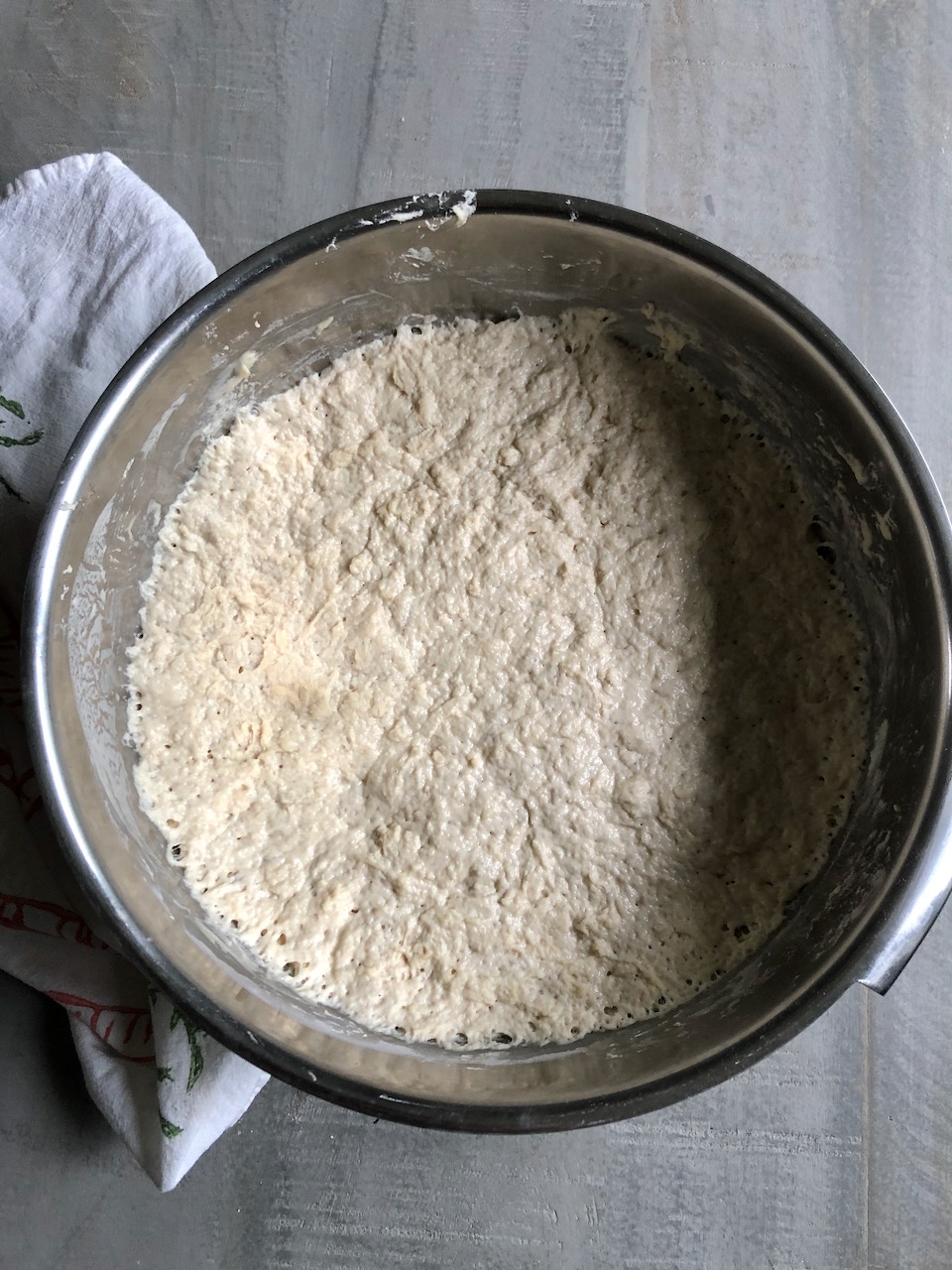 No Knead Pizza Dough - Edible Nashville