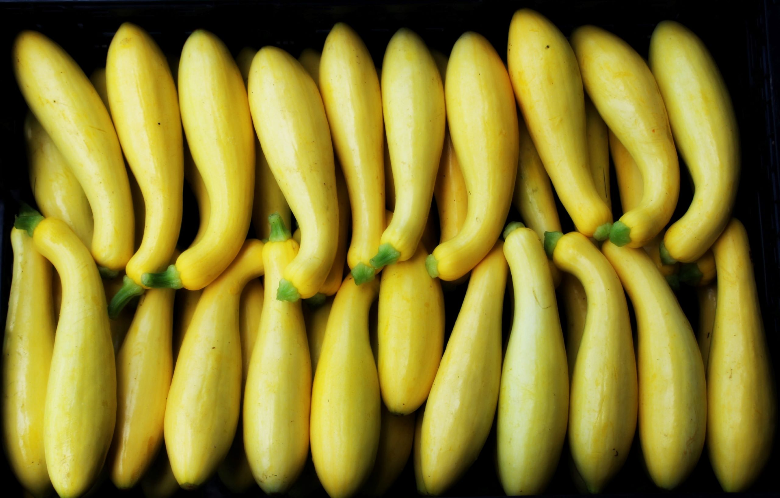 Squash and Tasso Gratin - Edible Nashville