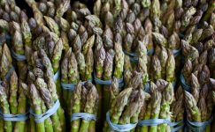 Asparagus-1A8D4019-scaled.jpeg