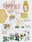 honey-101-1.jpg