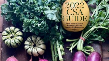 Final2022 CSA guide 1